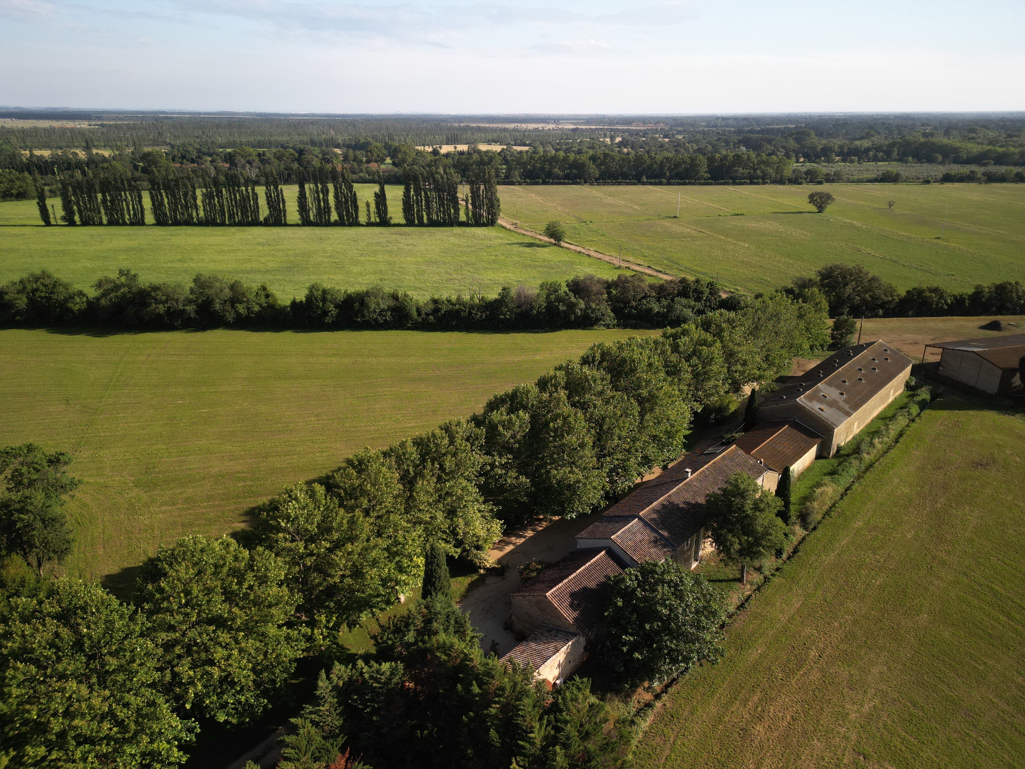 Mas provençal au coeur des Alpilles - Domaine agricole de 20 hectares