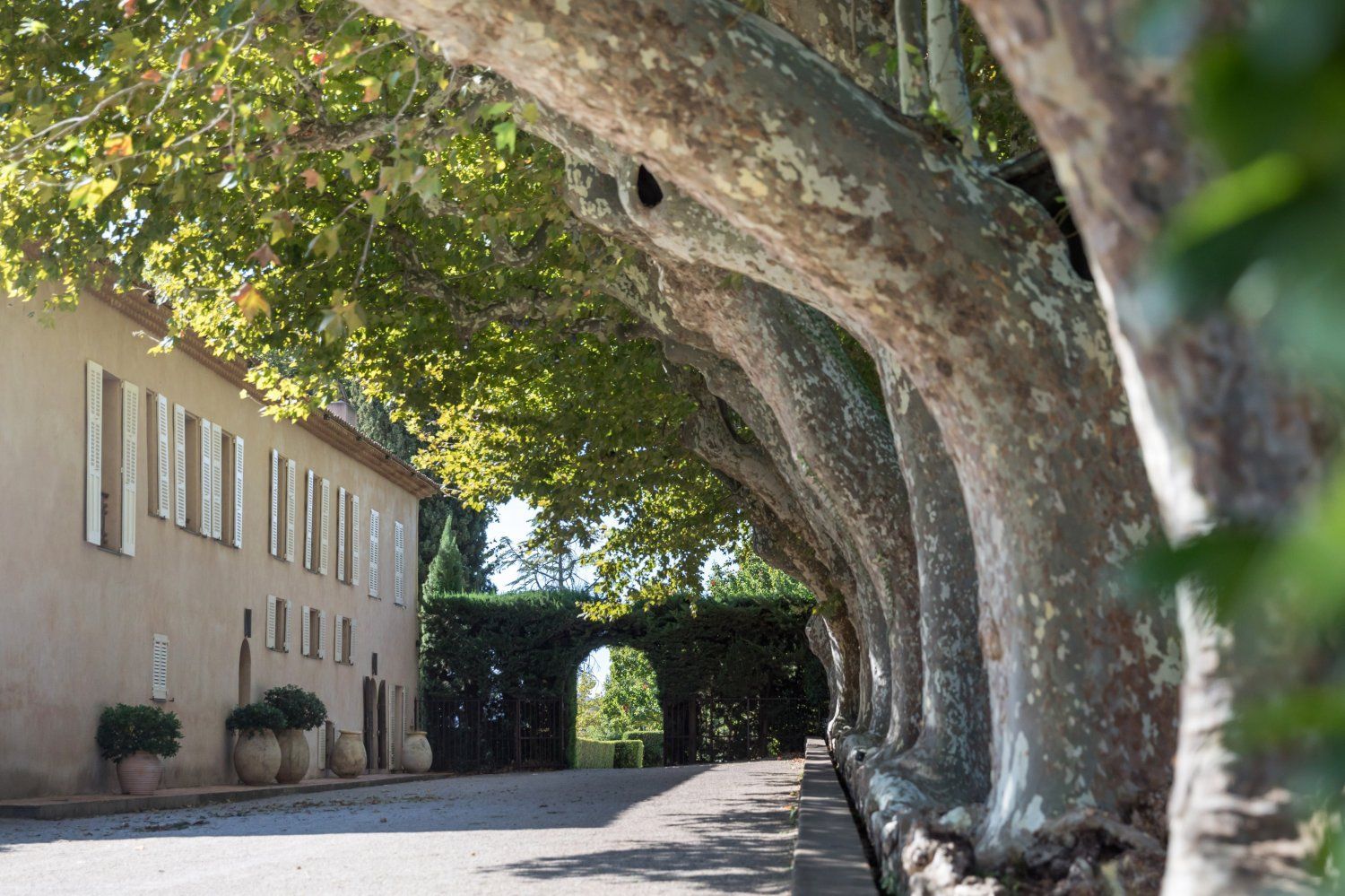 Salle de récolte pour un grand événement combiné à une visite guidée de l'art