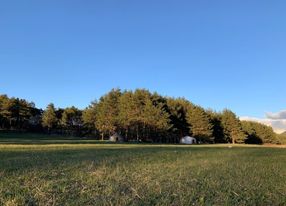 Chalet and yurt nature area