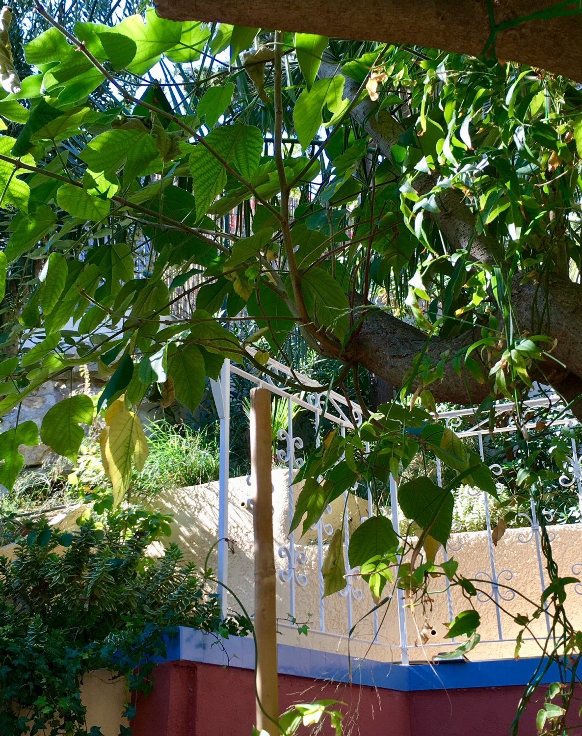 A living room, a courtyard and a terrace with a view of the good-mother