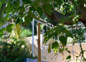 A living room, a courtyard and a terrace with a view of the good-mother