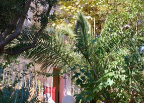 A living room, a courtyard and a terrace with a view of the good-mother