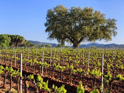 Splendid Manor from 1830