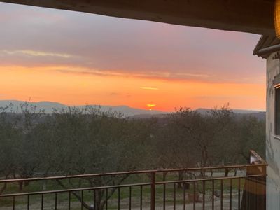 Villa in an olive grove