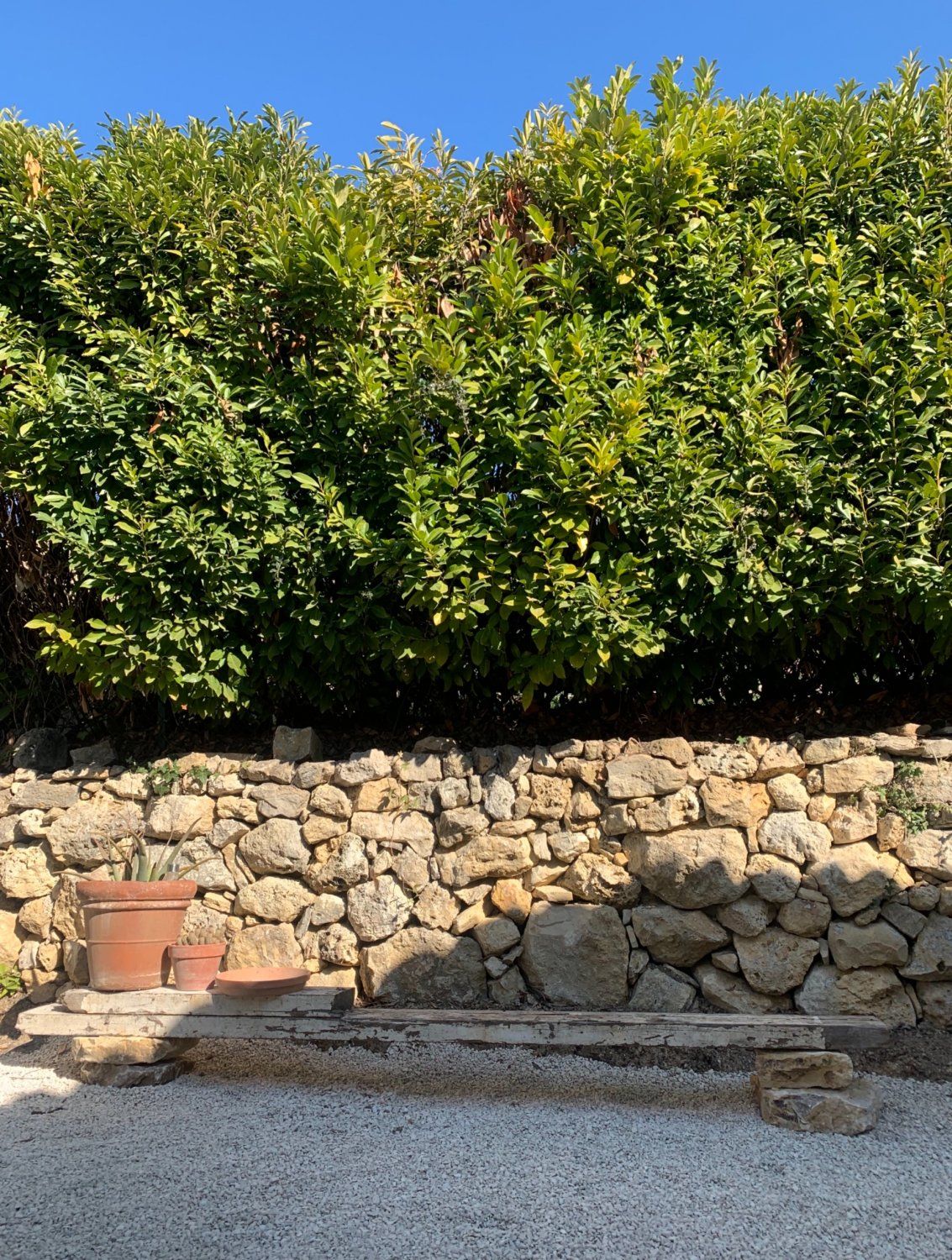 Villa in Olive Grove