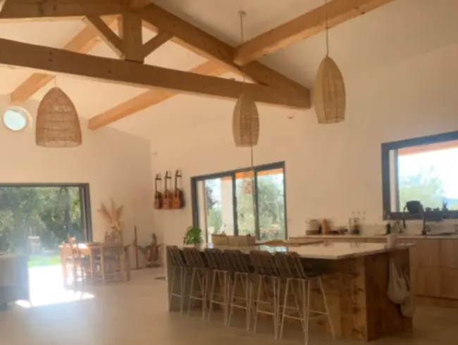 Villa in an olive grove