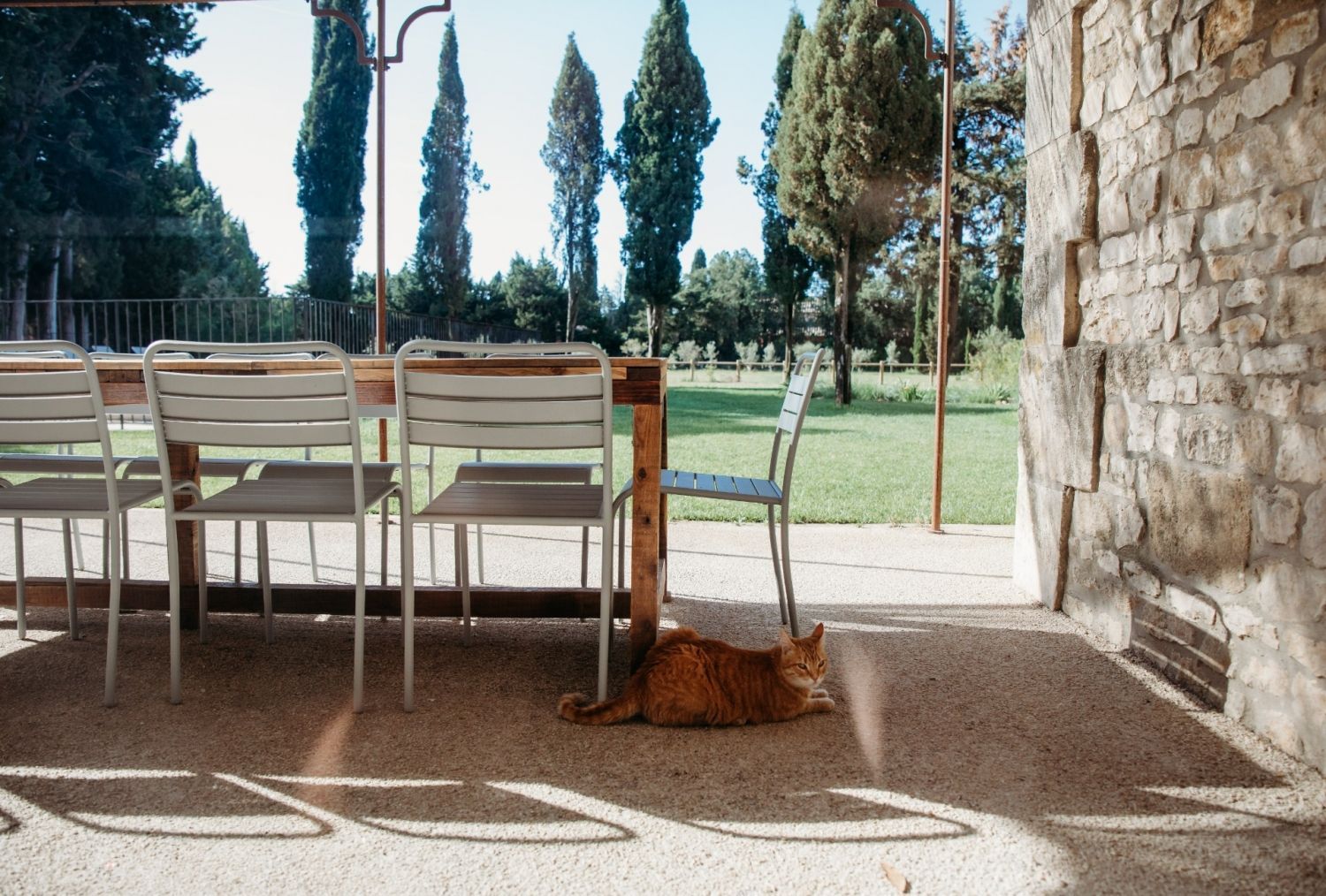 Provencal farmhouse with services and swimming pool