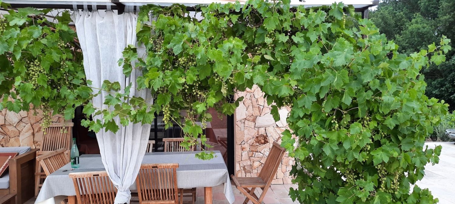 Provençal country house with swimming pool
