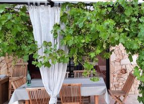 Provencal bastidon with swimming pool