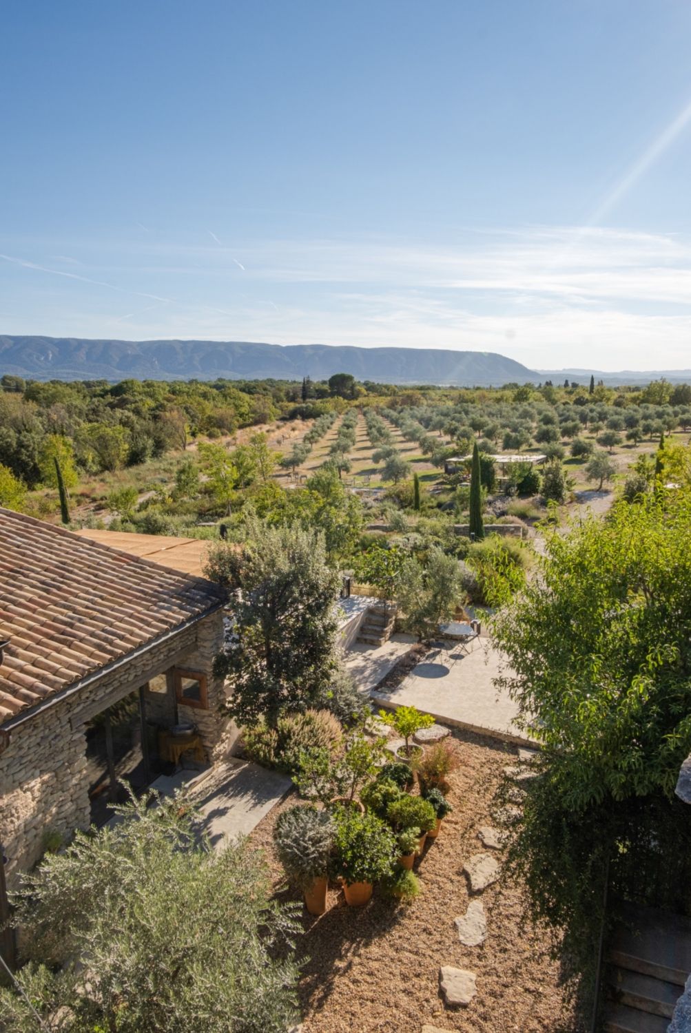Guest house 450 m² of common areas