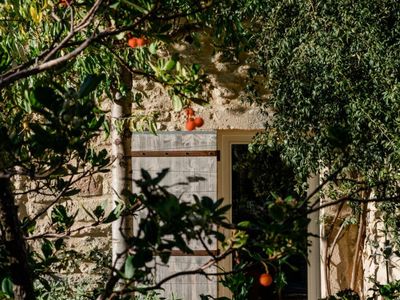 Guest house 450 m² of common areas