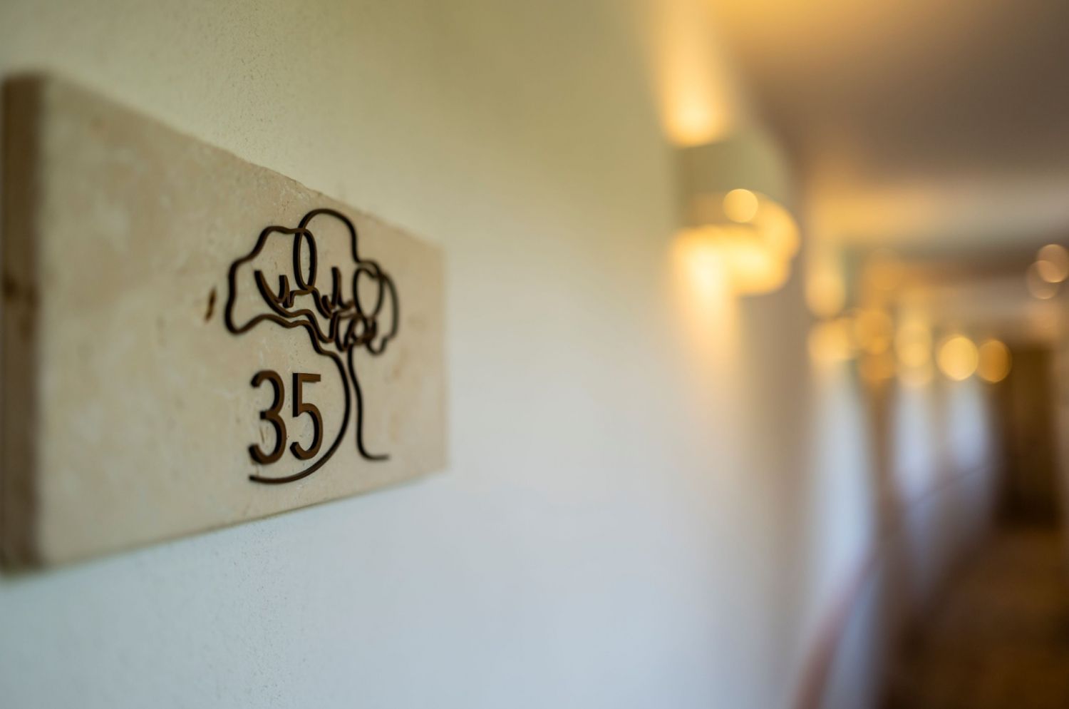 Hôtel 4* et son parc vue mer