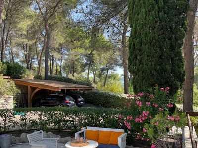 Maison en pierres dans les pins 