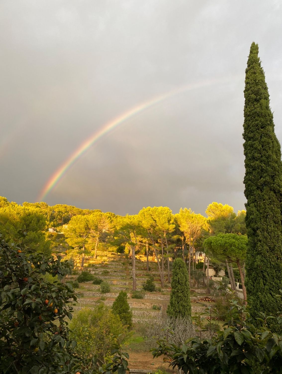 Estate with swimming pool and magnificent views of Cap d'Antibes and the surrounding countryside
