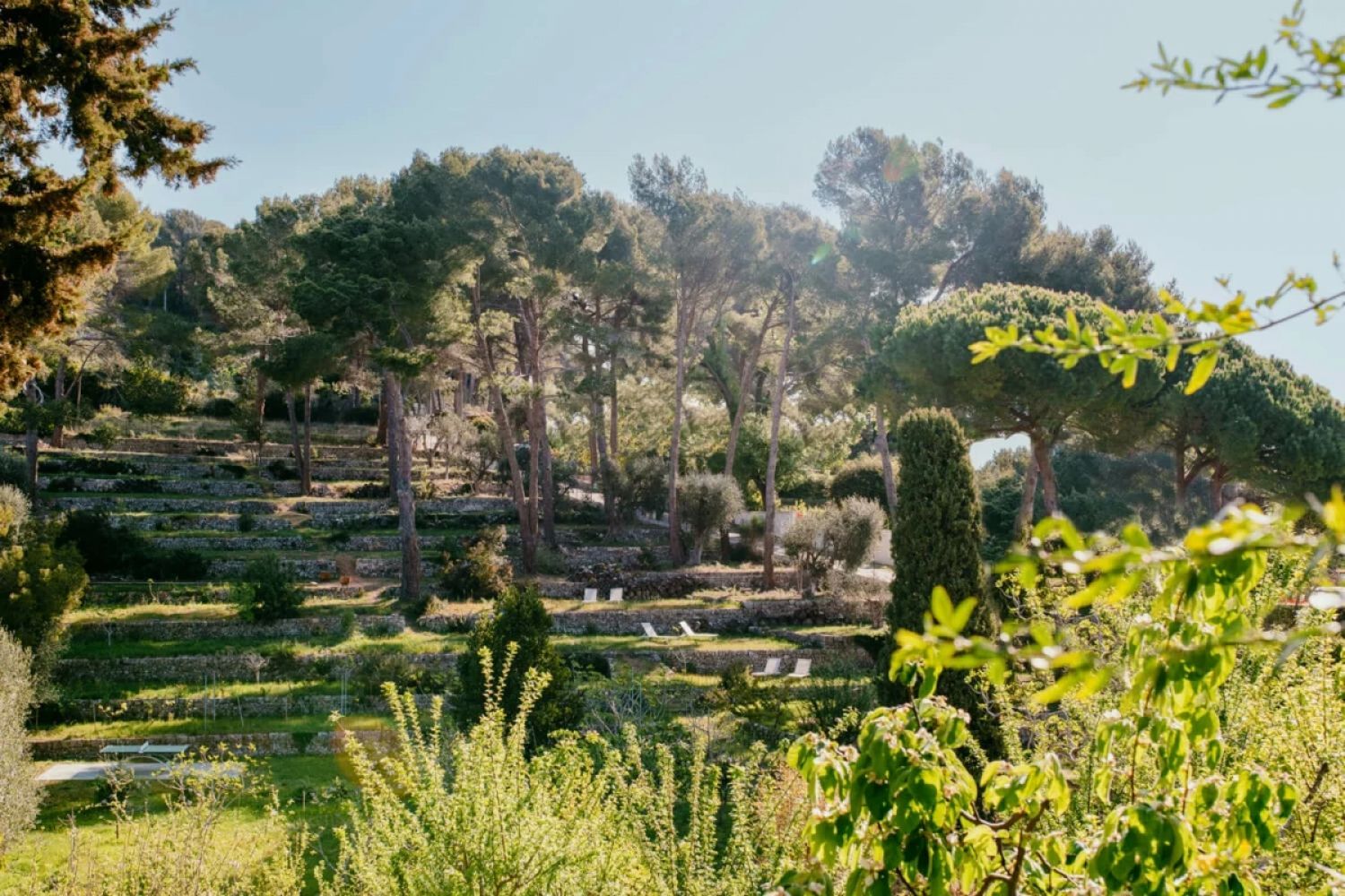 Estate with swimming pool and magnificent views of Cap d'Antibes and the surrounding nature