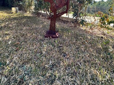 Estate with swimming pool and a large park