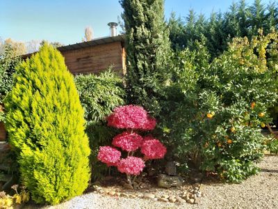 Chalet en pleine nature 