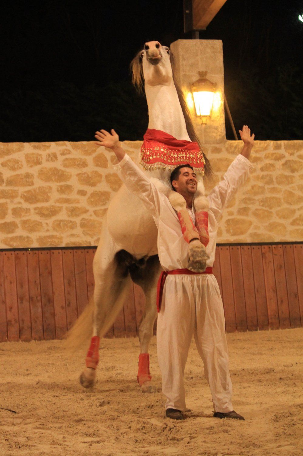 Dinner and Equestrian Show at the Manège de Xénophon 