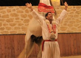 Dinner and Equestrian Show at the Manège de Xénophon