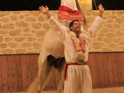 Dinner and Equestrian Show at the Manège de Xénophon 