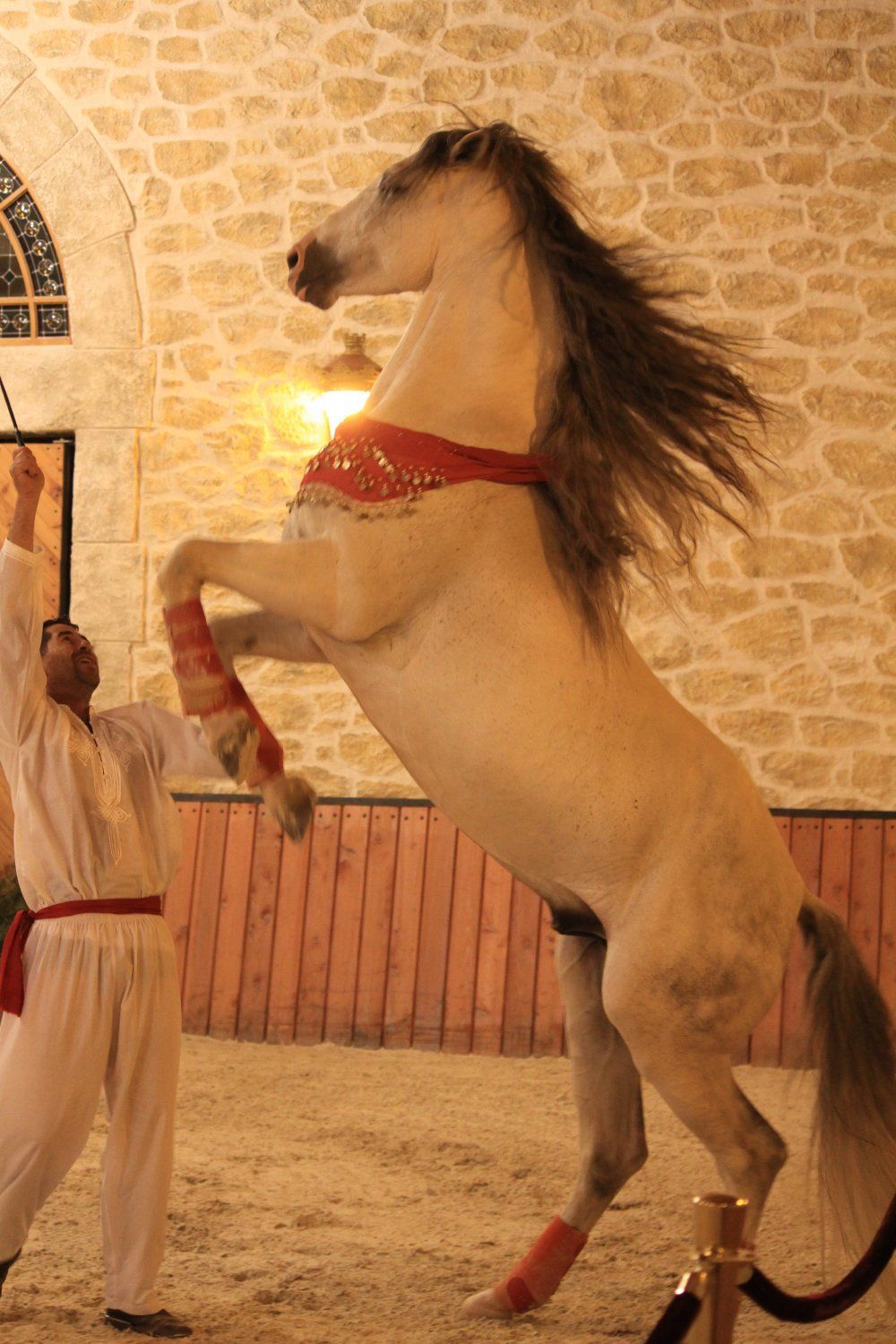 Dinner and Equestrian Show at the Manège de Xénophon 
