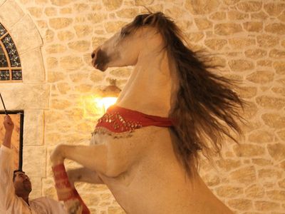 Dinner and Equestrian Show at the Manège de Xénophon 