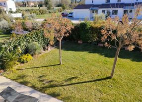 Garden with swimming pool