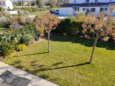 Garden with swimming pool