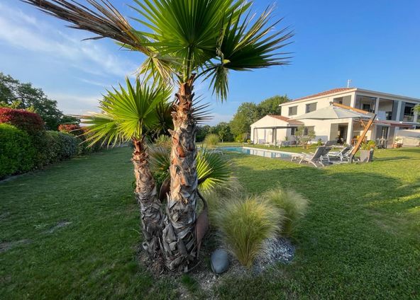 Garden with swimming pool