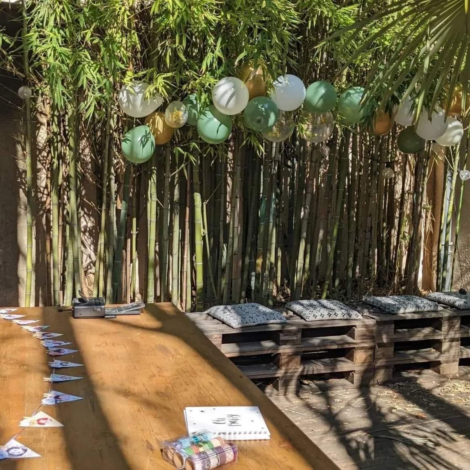 Salle avec terrasse arborée en plein cœur de Nîmes 