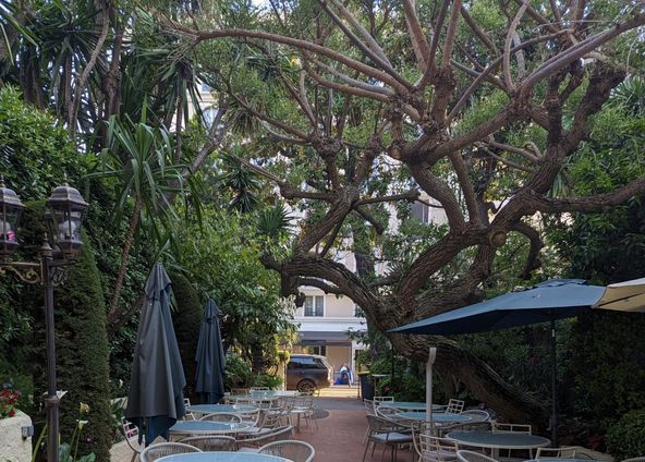 Garden in the heart of Cannes