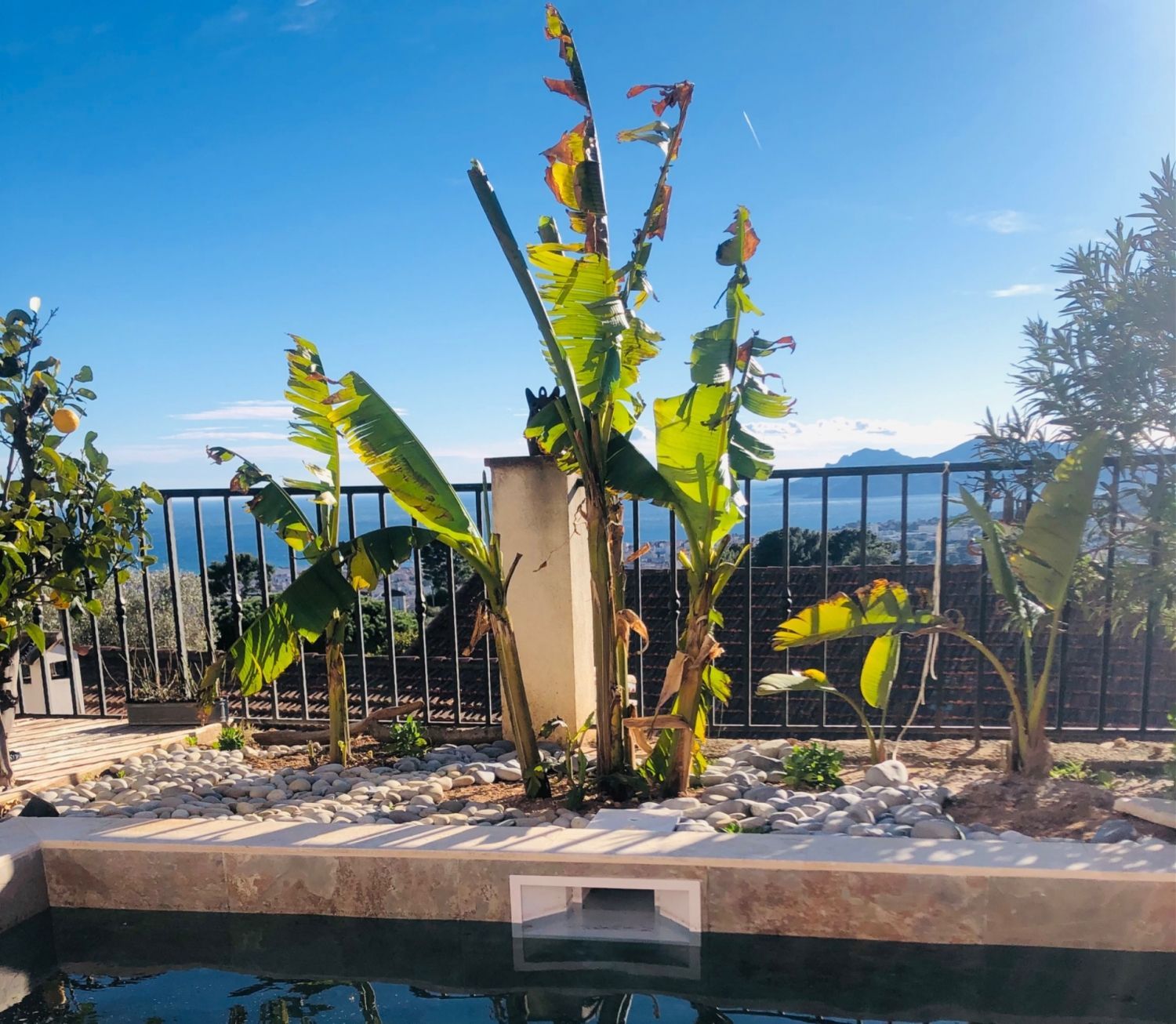 Terrasse vue mer