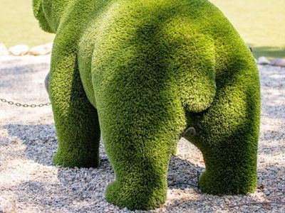 Luxury Villa in the Var