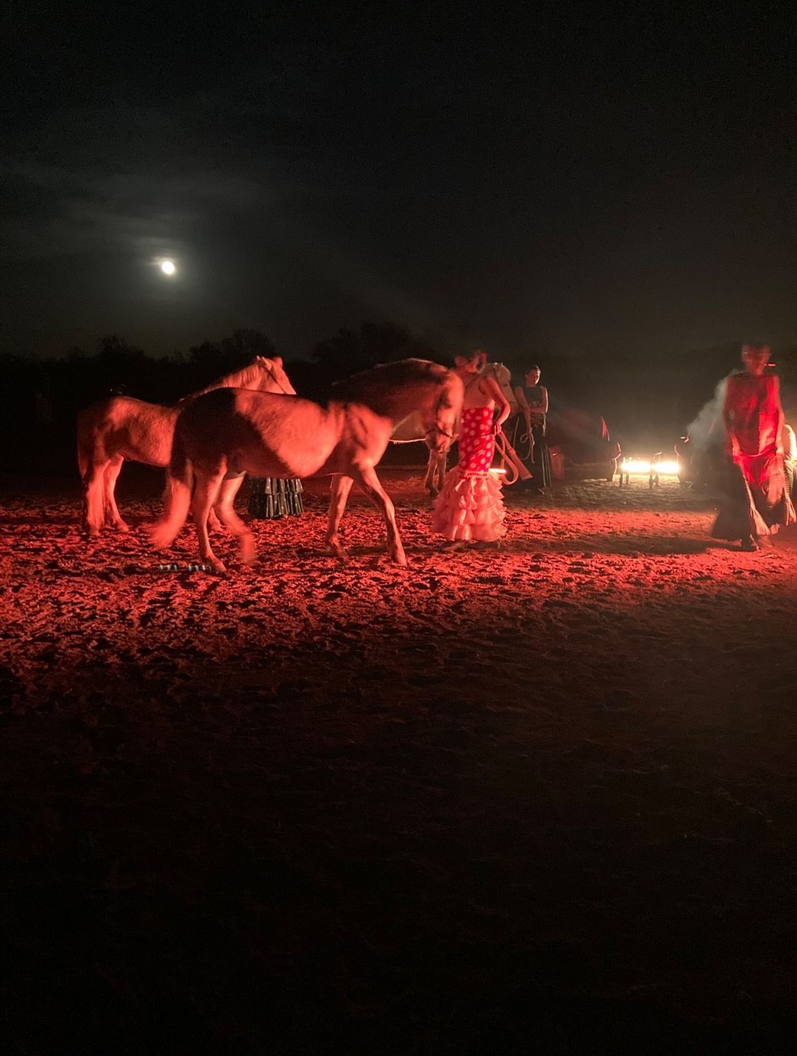 Manade equestrian cabaret