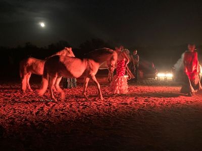 Manade equestrian cabaret