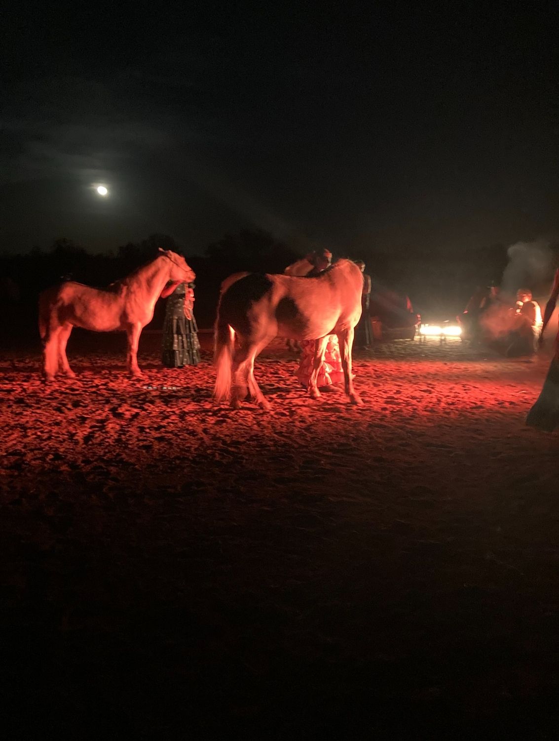 Manade equestrian cabaret