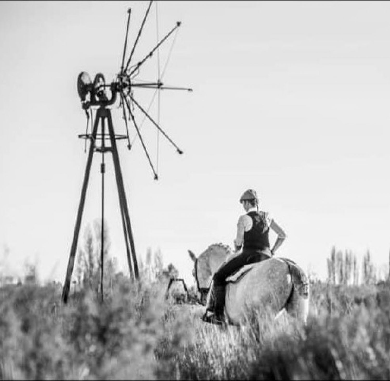 Manade equestrian cabaret