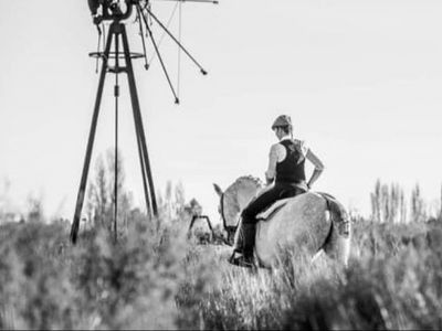 Manade equestrian cabaret