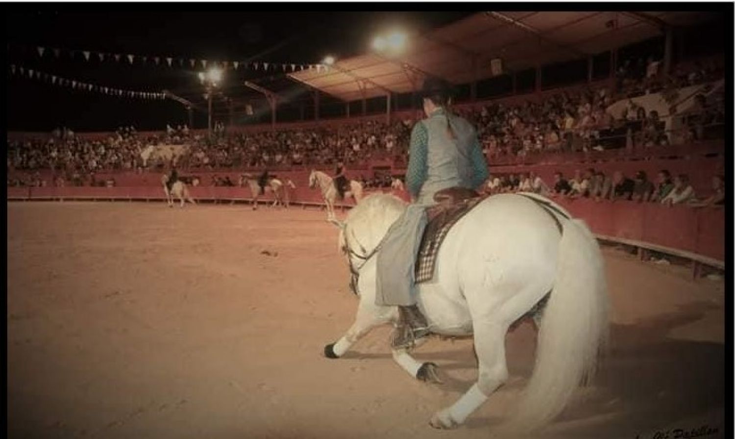 Manade equestrian cabaret