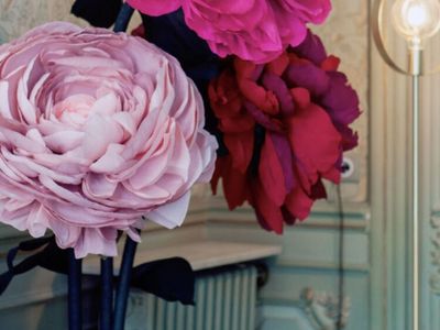 Salle de Réunion coeur de Montpellier - Salle de Bal