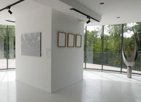 Gallery with terrace and view of greenery