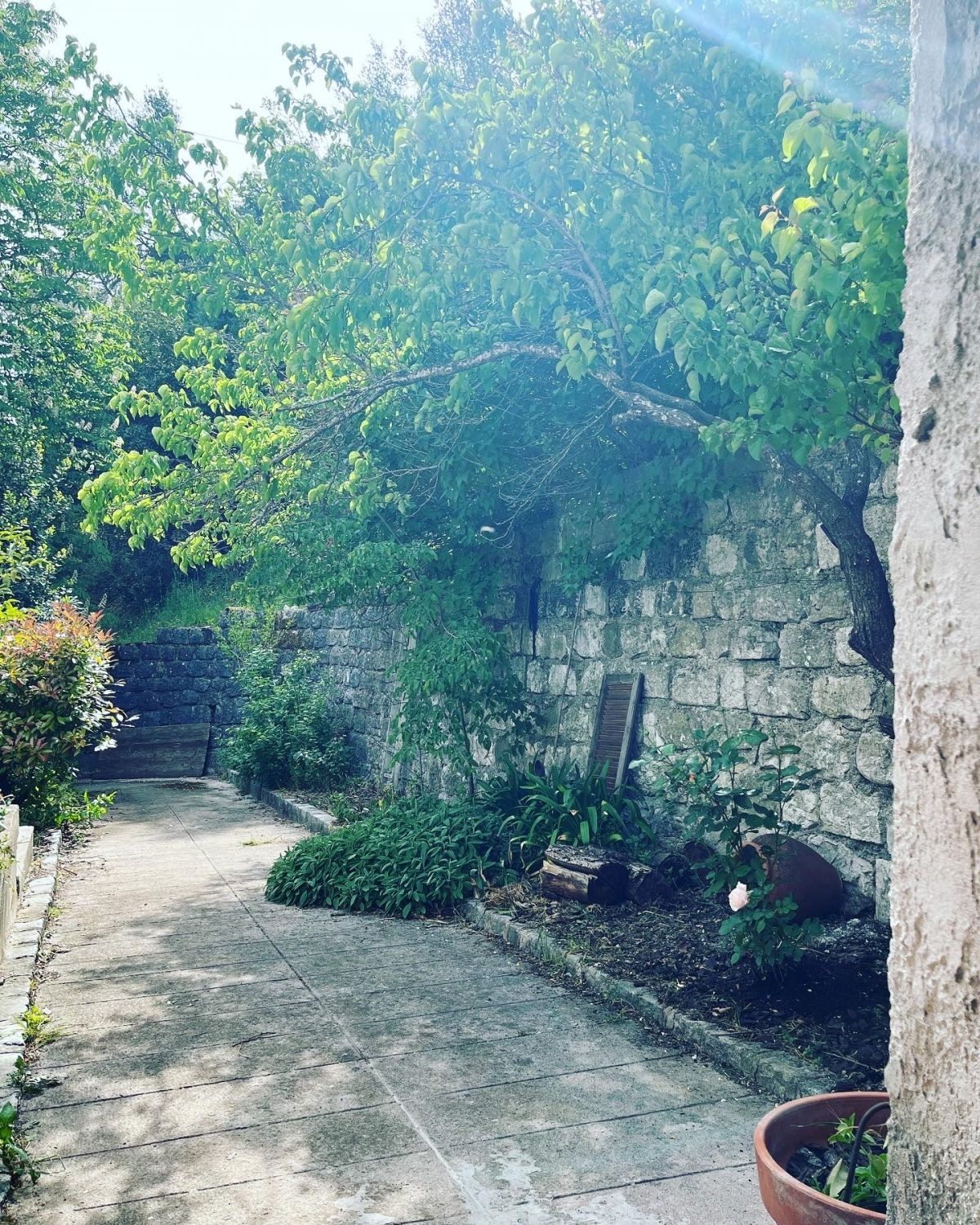 Rez-de-chaussée d'une maison niçoise avec jardin 
