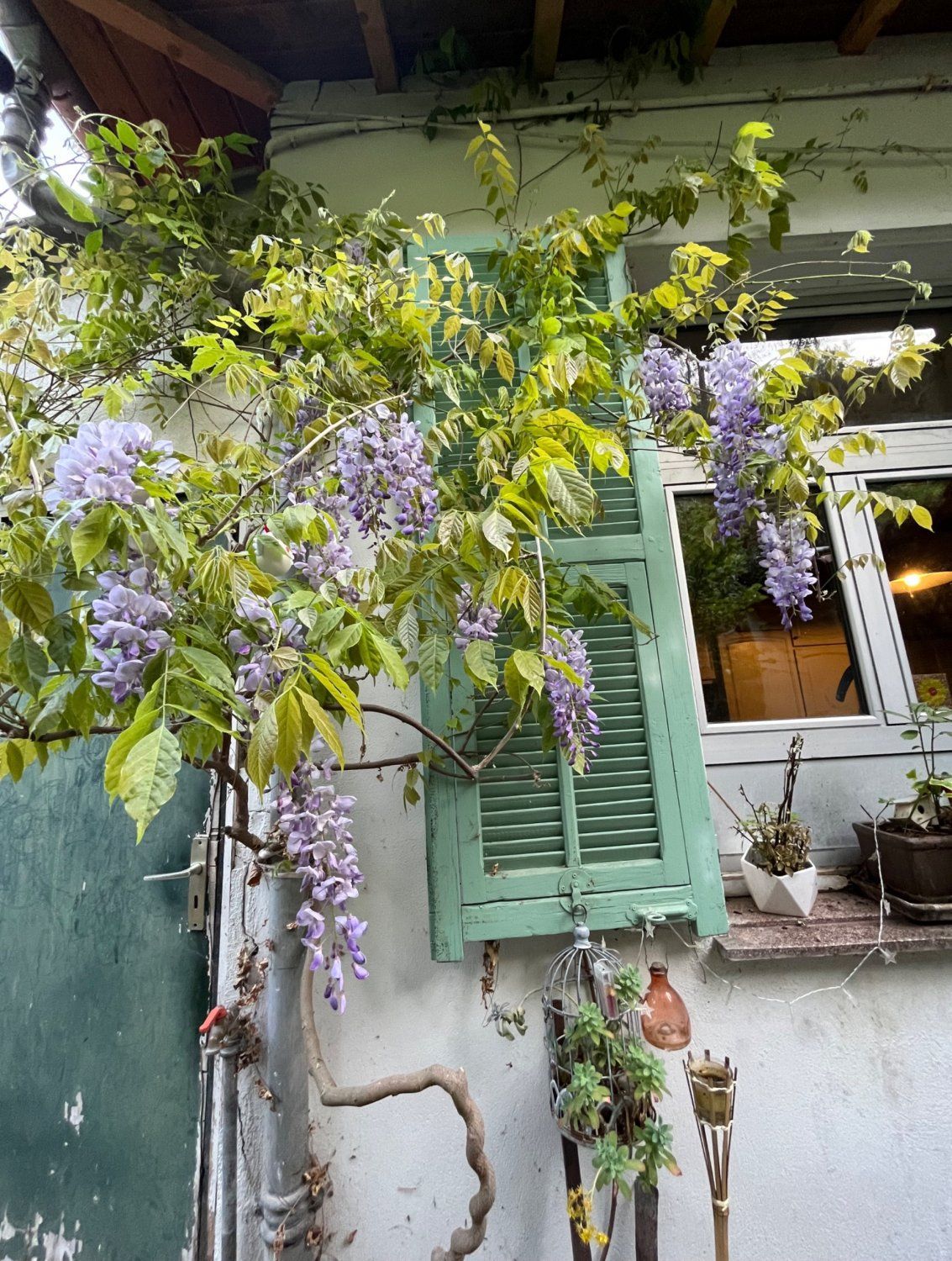 Rez-de-chaussée d'une maison niçoise avec jardin 
