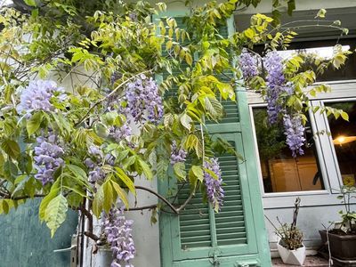 Ground floor of a Nice house with garden