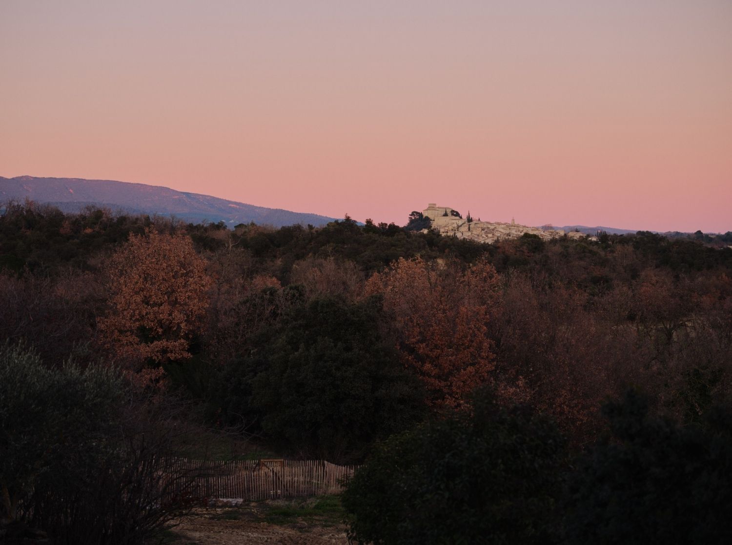 Domaine viticole contemporain et écologique 