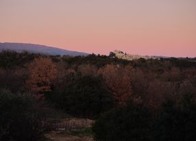 Contemporary wine estate