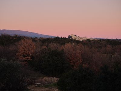 Domaine viticole contemporain et écologique 