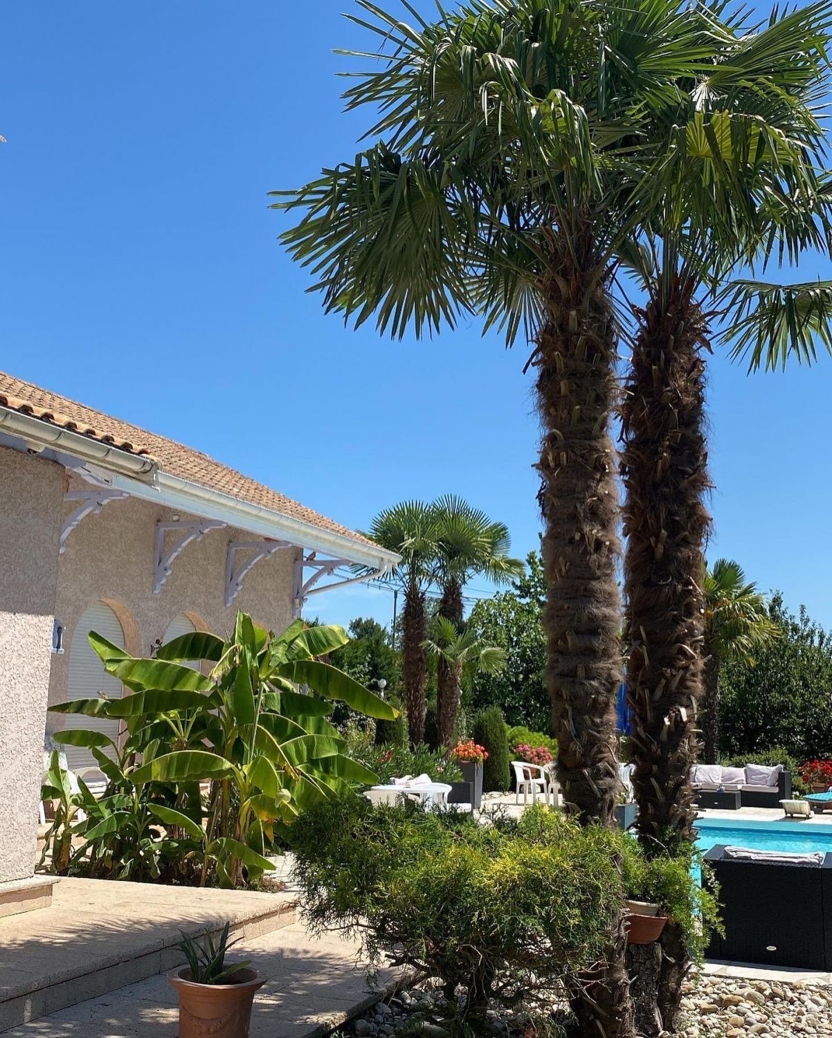 Estate with swimming pool in the heart of lush vegetation