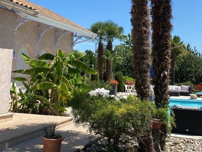 Estate with swimming pool in the heart of lush vegetation