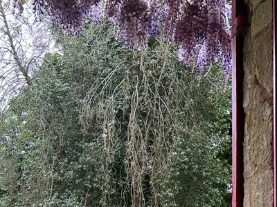 Maison Forte du XIIIe siècle